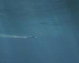 SH4Img@11-11-2007_12.44.51_907.jpg
